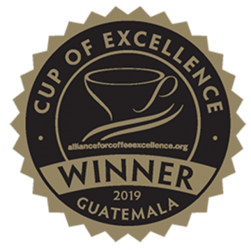 Cup of excellence guatemala  los lirios
