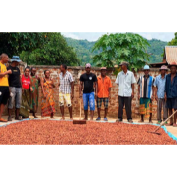 Madagascar sambirano tsarafandray 84